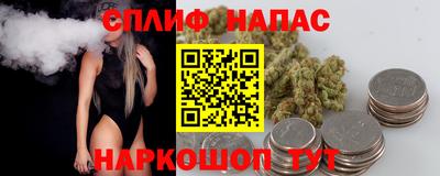 гашик Ливны