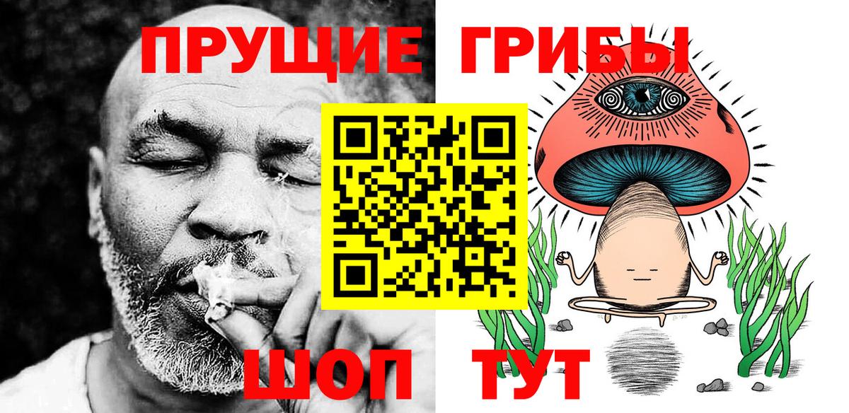 закладки  Вход с VPN  Великие Луки  Псилоцибиновые грибы Psilocybine cubensis 