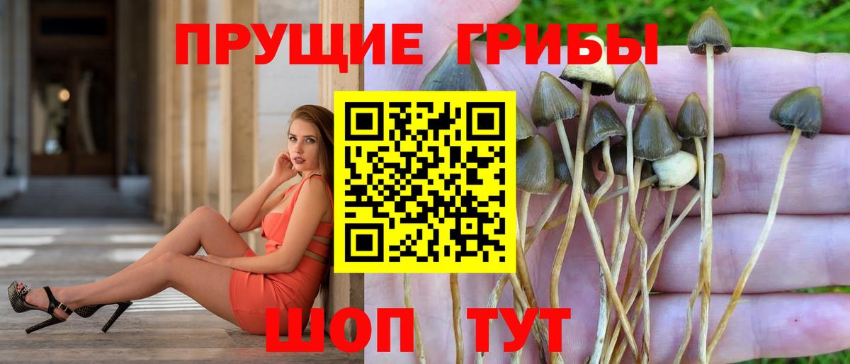 Псилоцибиновые грибы Magic Shrooms Великие Луки